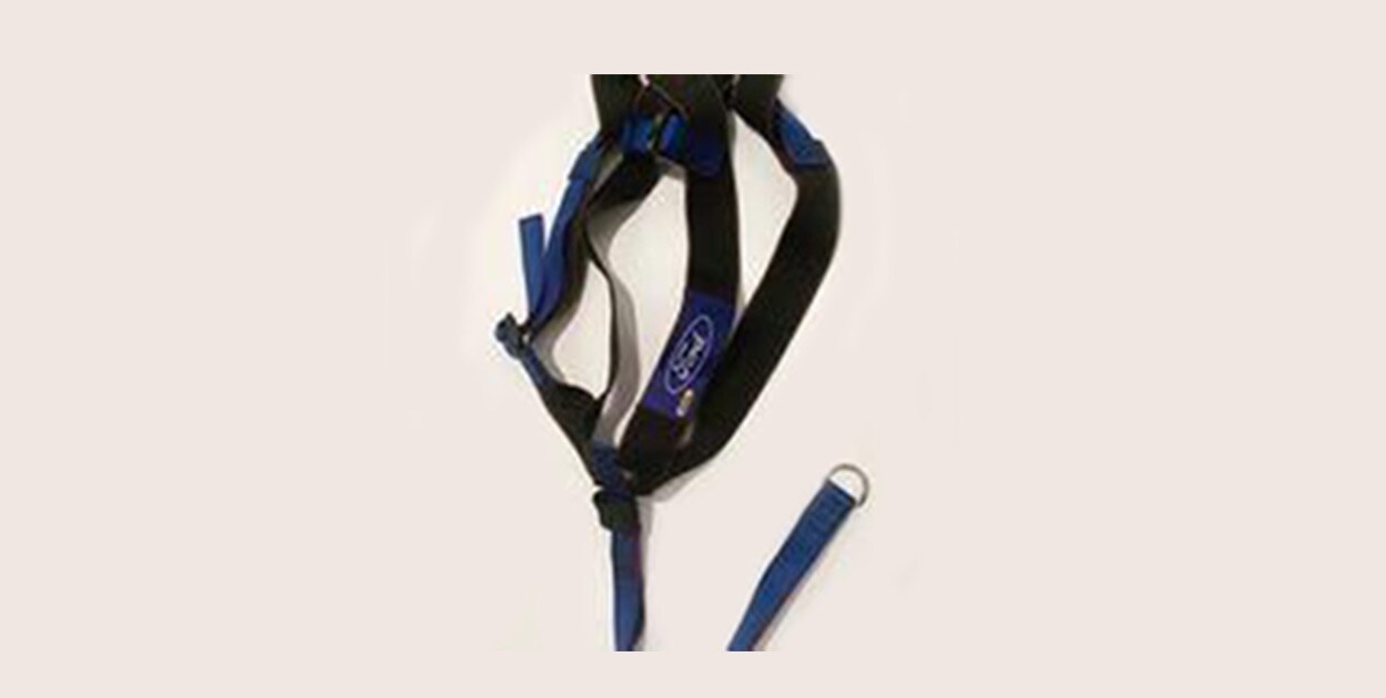 Meet Ford Bronco Accessories in CB, Pet Harness By Covercraft Medium 2