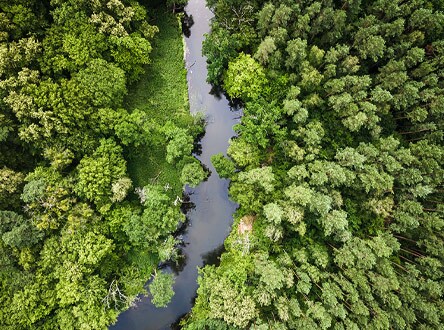 Learn about Ford Environmental Grants Program and Social Responsibility Policies