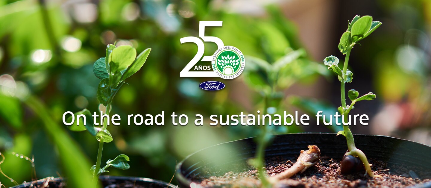 Learn about Ford's Environmental Grants Program and Social Responsibility Policies. Discover it!