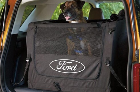Descubre Accesorios Ford Bronco en CB, Perrera para Mascotas