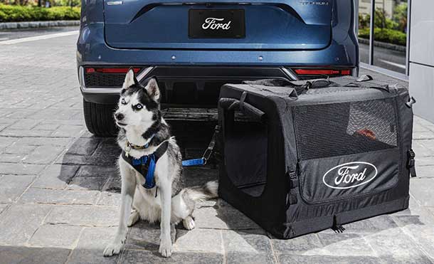 2024 Ford Territory RHD, equips Safety and Driving Assistance Technologies for your Comfort