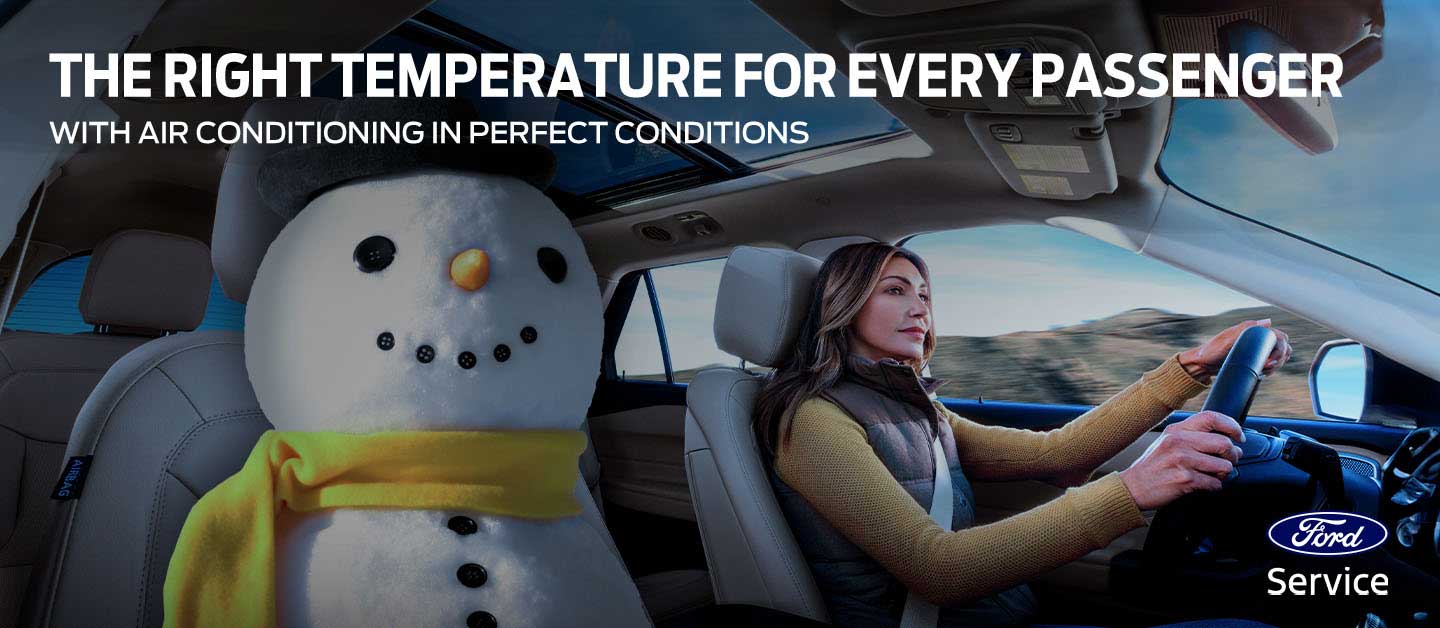 Take advantage of the Discount on Cabin Filter Replacement for your Ford Vehicle