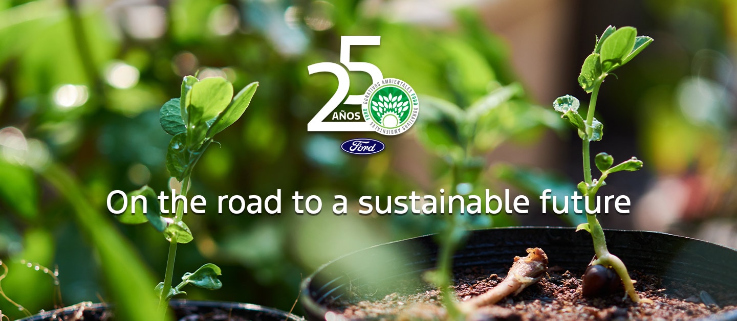 Learn about Ford's Environmental Grants Program and Social Responsibility Policies. Discover it!