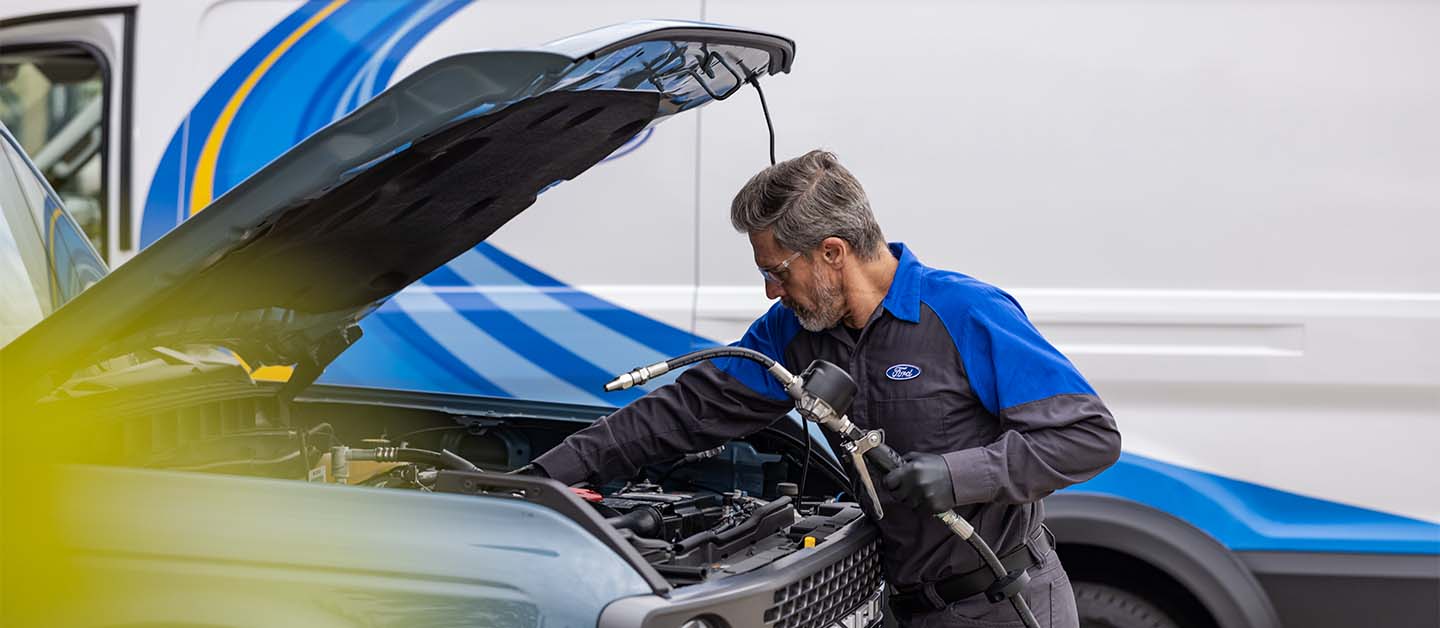 Genuine and Official Ford Vehicle Parts, Parts, Spare Parts, available in the Caribbean