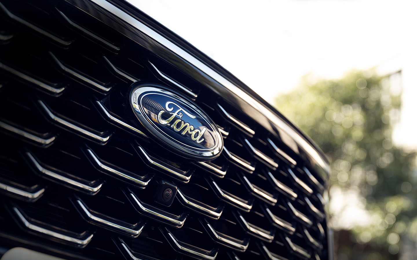 Locate your Ford Dealership in Caribbean and know the Address, Telephone and Service Hours